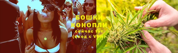 тгк Бронницы