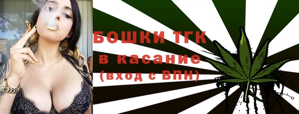 тгк Бронницы